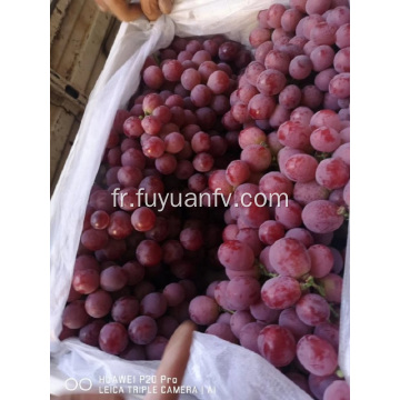 DÉBUT DES RAISINS YUNNAN 2019